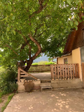 Biohof Gölly Neumarkt In Steiermark